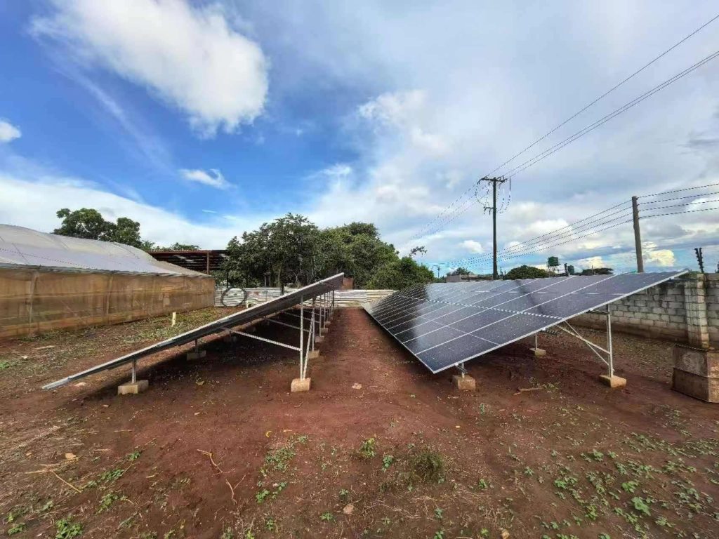 Hakuna Matata Farms — Project Image 2